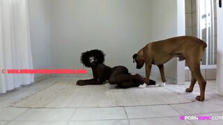 Dog Fucks Ebony Pussy