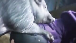 Yasmin Fucks Dog And Pig